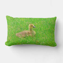 Almofada Lombar Travesseiro Decorativo Ganso-do-Canadá