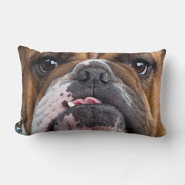 Almofada Lombar Travesseiro decorativo Inglês Bulldog (Frente)