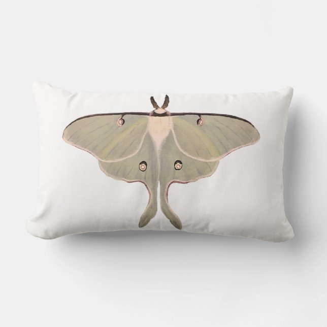 Almofada Lombar Travesseiro decorativo Luna Moth (Frente)