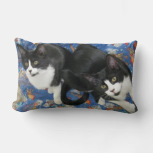 Almofada Lombar Travesseiro decorativo Twin Tuxedo Kittens