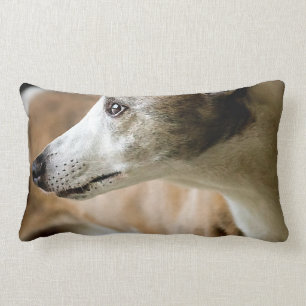 Almofada Lombar Travesseiro do cão do galgo