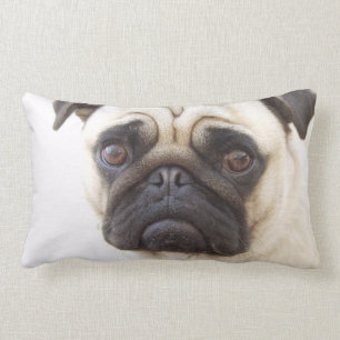 Almofada Lombar Travesseiro do cão do Pug