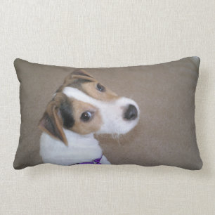 Almofada Lombar Travesseiro do filhote de cachorro de Jack Russell