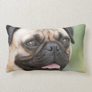 Almofada Lombar Travesseiro do Pug