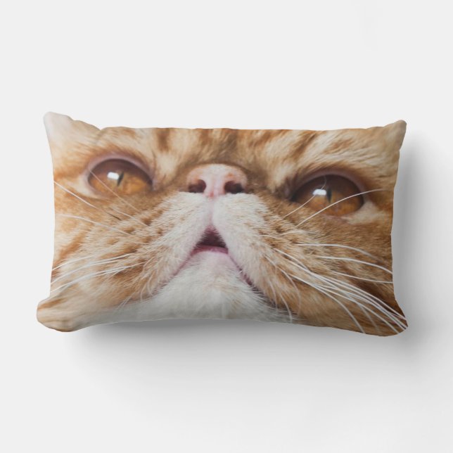 Almofada Lombar travesseiro do sopro (Frente)