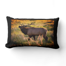 Travesseiro dos alces