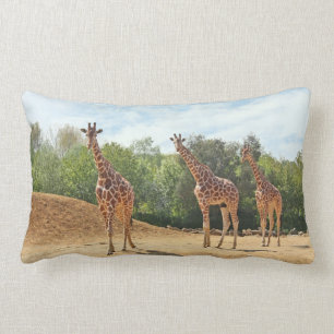 Almofada Lombar Travesseiro dos girafas