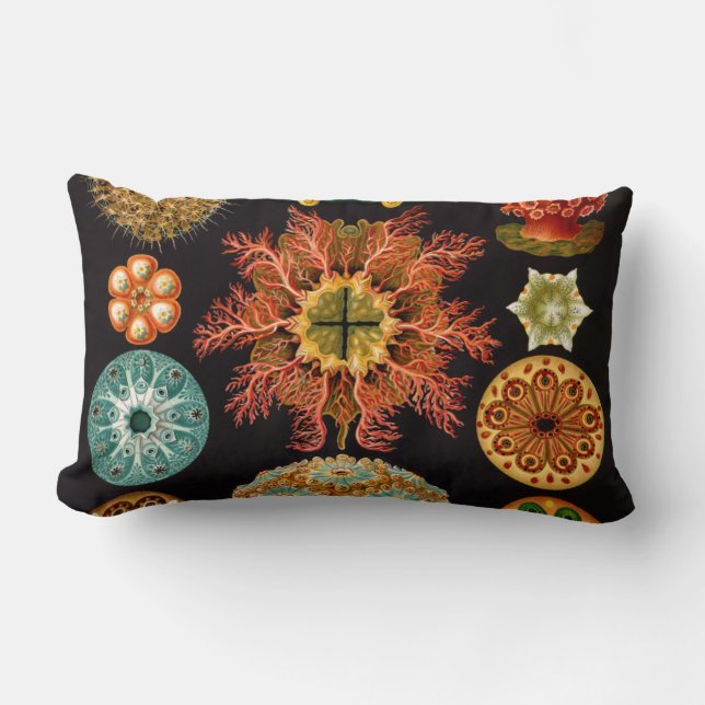 Almofada Lombar Travesseiro lombar ao quadrado do diafragma marinh (Frente)