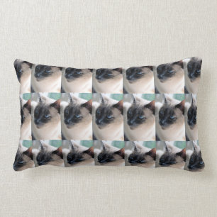 Almofada Lombar Travesseiro lombar arisco do gato Siamese