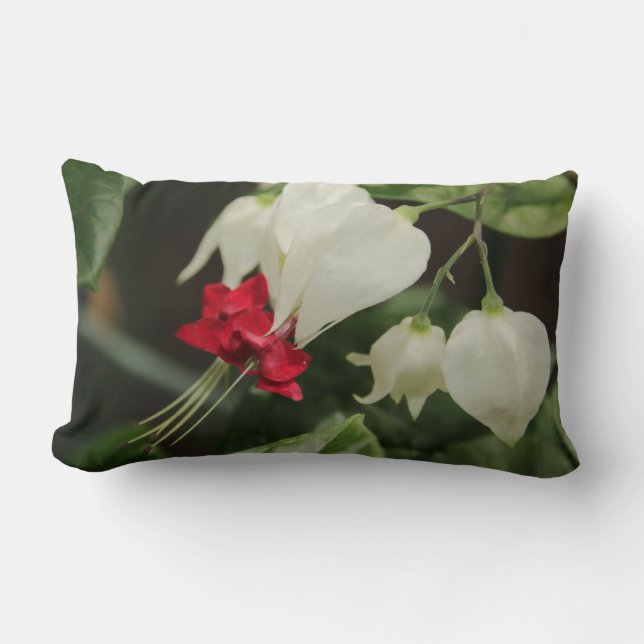 Almofada Lombar Travesseiro lombar com flor do coração a sangrar (Frente)