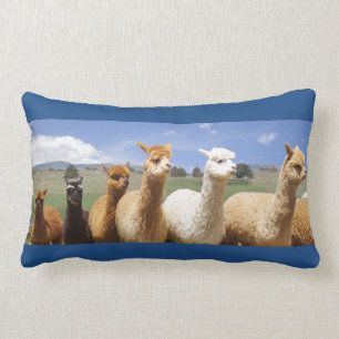 Almofada Lombar Travesseiro lombar da alpaca acolhedor
