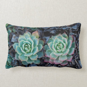 Almofada Lombar Travesseiro lombar da textura do succulent da