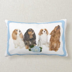 Almofada Lombar Travesseiro lombar Quatro Cavalier King Charles Sp