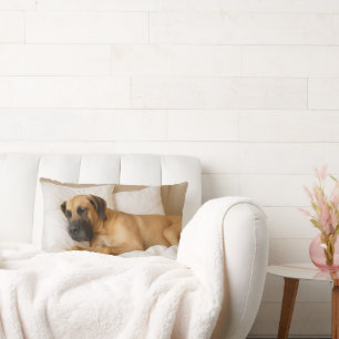 Almofada Lombar Travesseiro Lumbar Cozy Great Dane