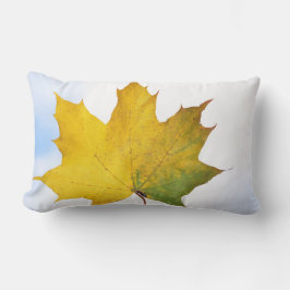 Almofada Lombar Travesseiro para cada sala