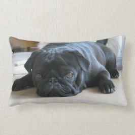 Almofada Lombar Travesseiro Pug Personalizado, cachorrinho preto, 