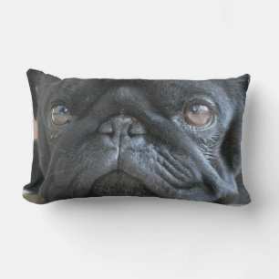 Almofada Lombar Travesseiro Pug Personalizado, cãozinho preto, ca