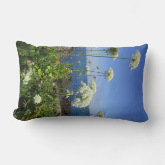 Almofada Lombar Travesseiro Queen Anne Lumbar