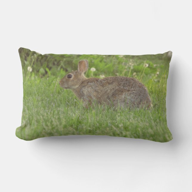 Almofada Lombar Travesseiro: Sensatez da Vida (Frente)