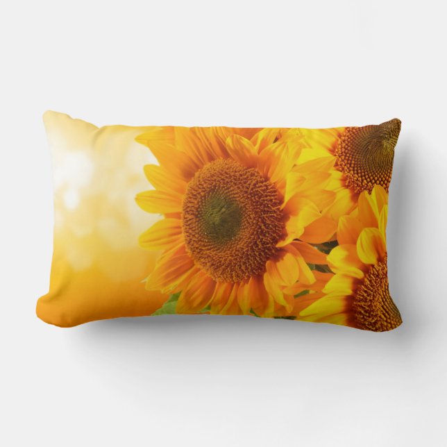 Almofada Lombar Travesseiro Sunburst (Frente)
