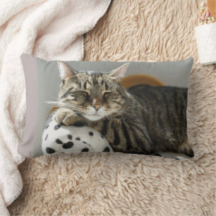 ALMOFADA LOMBAR TRAVESSEIROS DE NAMORADO DE ATAQUE DE GATO