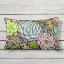 Almofada Lombar Travesseiros decorativos dos Succulents do cacto