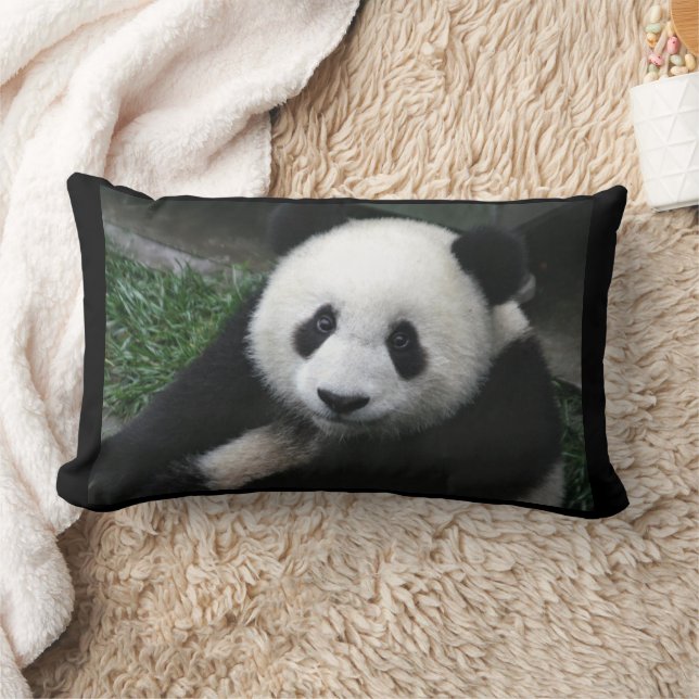 ALMOFADA LOMBAR TRAVESSEIROS PANDA BEAR CUDDDLE (Cobertor)