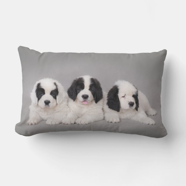 Almofada Lombar Três cachorros Landseer (Frente)