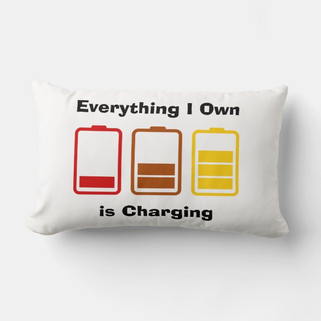 Almofada Lombar Tudo que eu possuo está cobrando (Frente)