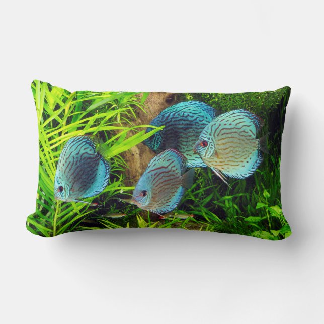 Almofada Lombar Turquoise Blue Discus (Frente)