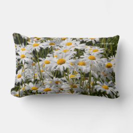 Almofada Lombar Um Campo de Visitas Oxeye