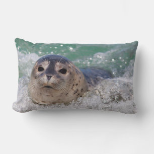 Almofada Lombar Um filhote de foca surfando