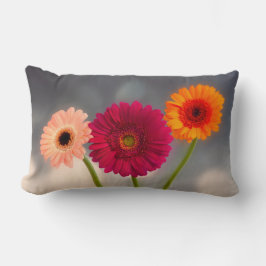 Almofada Lombar Um Trio de Gerberas Lumbar Cushion