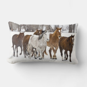 Almofada Lombar Uma paisagem de inverno de corrida