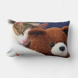 Almofada Lombar Urso de Teddy Gato Sonolento