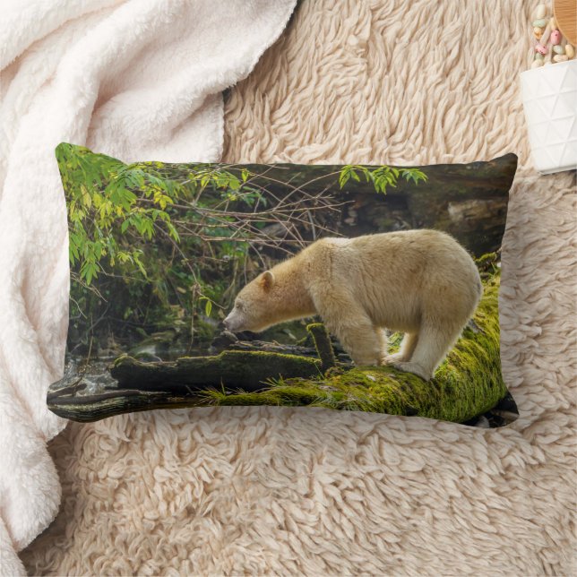 Almofada Lombar Urso Espírito Branco (Cobertor)