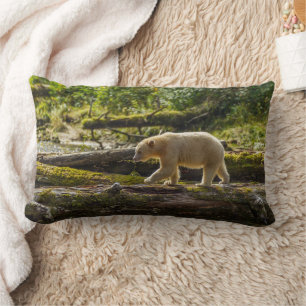 Almofada Lombar Urso Espírito Branco Caça