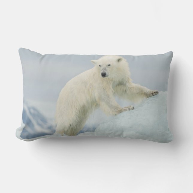 Almofada Lombar Urso polar no Verão (Frente)