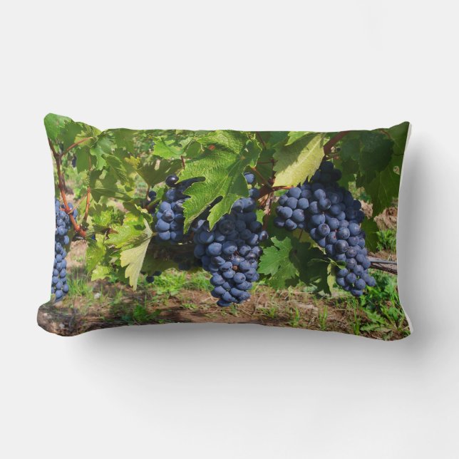 Almofada Lombar Uvas no Travesseiro da Vinha (Frente)
