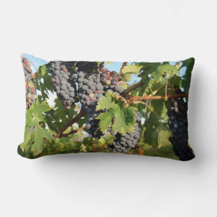 Almofada Lombar Uvas Viníferas Na Videira