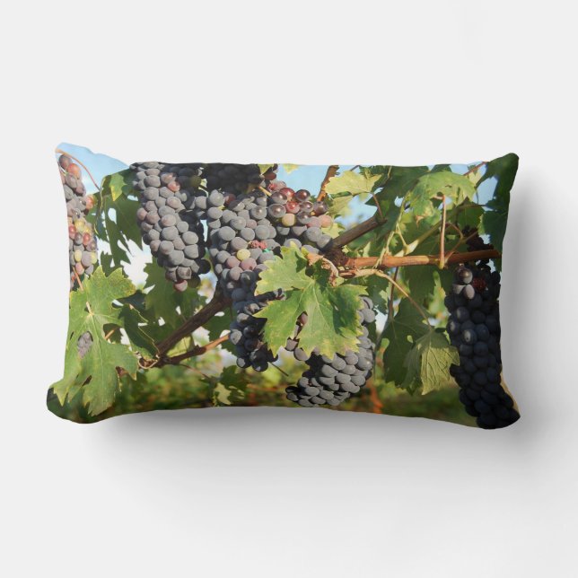 Almofada Lombar Uvas Viníferas Na Videira (Frente)