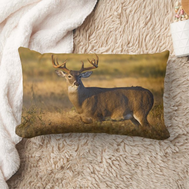 Almofada Lombar Veado branco | Sul do Texas (Cobertor)