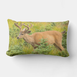 Almofada Lombar Veado de cauda negra