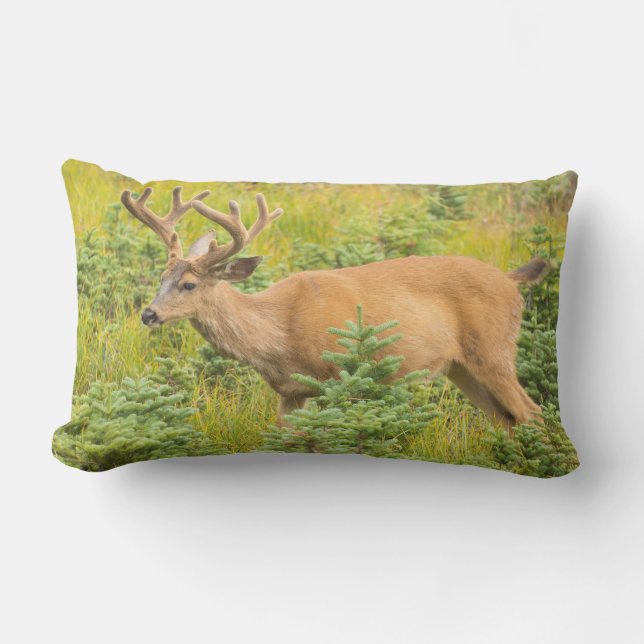 Almofada Lombar Veado de cauda negra (Frente)