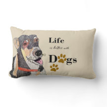 vida melhor com cães