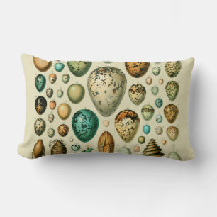 Almofada Lombar Vintage Bird Ovos de Peixes Franceses