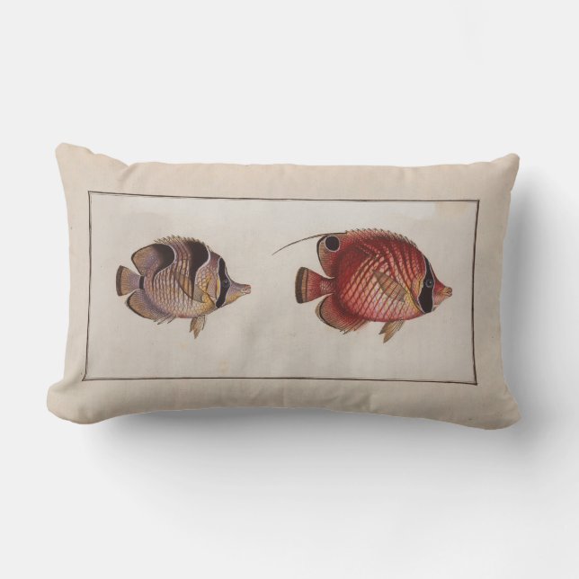 Almofada Lombar Vintage Illustration Butterfly Fish (Frente)