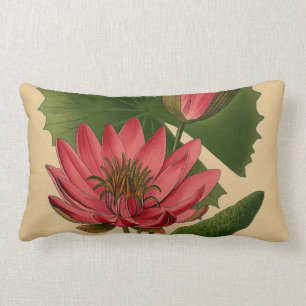 Almofada Lombar Vintage Impressão de água rosa Lily Lotus