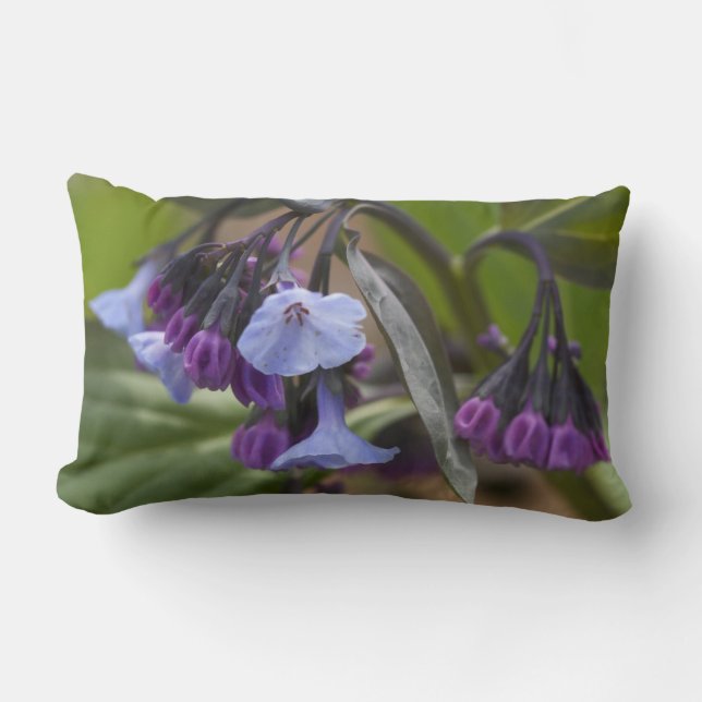 Almofada Lombar Virginia Bluebells Wildflorls (Frente)