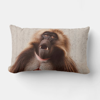 Almofada Lombar What’s going on